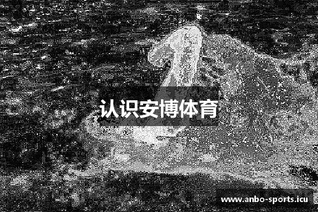 认识安博体育